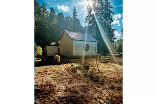 77189 Mosby Creek Rd, Cottage Grove, OR 97424 - Photo 9