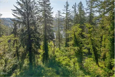 Tl 1600 Criteser Loop, Toledo, OR 97391 - Photo 7
