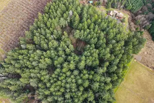 19980 SW Seiffert Rd, Sherwood, OR 97140 - Photo 13