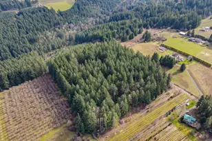 19980 SW Seiffert Rd, Sherwood, OR 97140 - Photo 15