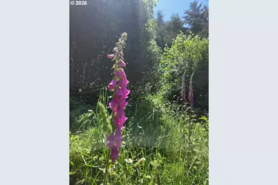 00 Mateer Rd #1300, Gold Beach, OR 97444 - Photo 21
