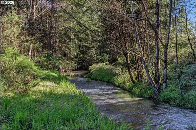 1269 King Rd, Winlock, WA 98596 - Photo 27