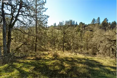 Dry Creek Rd, Mosier, OR 97040 - Photo 9