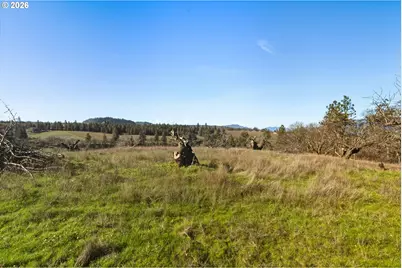 Dry Creek Rd, Mosier, OR 97040 - Photo 3