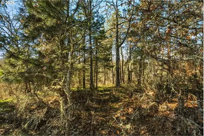 Dry Creek Rd, Mosier, OR 97040 - Photo 17