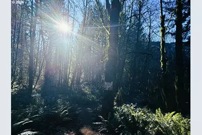 Abiqua Falls Lot 400, Scotts Mills, OR 97375 - Photo 9