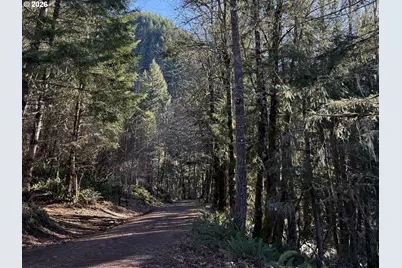 Abiqua Falls Lot 400, Scotts Mills, OR 97375 - Photo 3