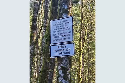 Abiqua Falls Lot 400, Scotts Mills, OR 97375 - Photo 17