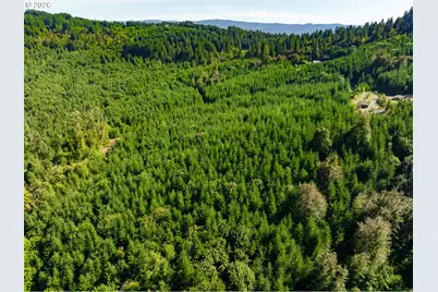 McCauley Ridge Dr, Springfield, OR 97478 - Photo 5