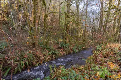 74763 Conyers Creek Rd, Clatskanie, OR 97016 - Photo 15