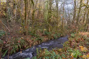 74763 Conyers Creek Rd, Clatskanie, OR 97016 - Photo 15