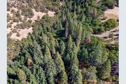 Colestin Rd, Ashland, OR 97520 - Photo 9