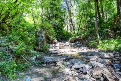 5424 Little River Rd, Glide, OR 97443 - Photo 43