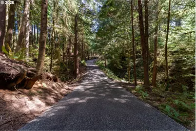 545 Bartel Rd, Cannon Beach, OR 97110 - Photo 3
