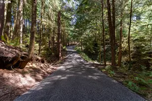 545 Bartel Rd, Cannon Beach, OR 97110 - Photo 3