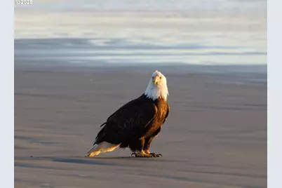 511 1st St, Manzanita, OR 97130 - Photo 23