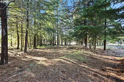 6145 Bailey Rd, Mt Hood Prkdl, OR 97041 - Photo 35