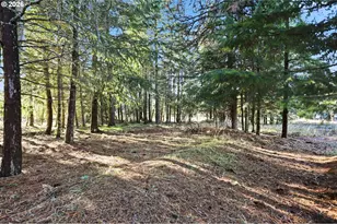 6145 Bailey Rd, Mt Hood Prkdl, OR 97041 - Photo 35