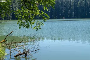 3642 NE Pioneer St, Camas, WA 98607 - Photo 35