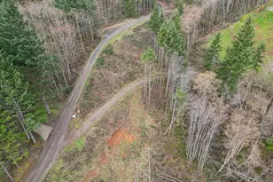 498 Bryant Hill Rd, Woodland, WA 98674 - Photo 37