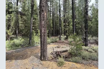 17717 Highway 58, Crescent Lake, OR 97733 - Photo 39