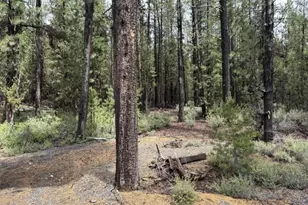 17717 Hwy 58, Crescent Lake, OR 97733 - Photo 39