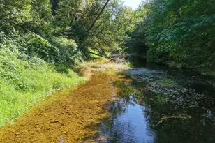 60031 Fairview Rd, Coquille, OR 97423 - Photo 35
