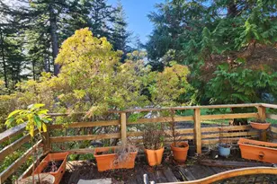 93595 China Mountain Rd, Port Orford, OR 97465 - Photo 9