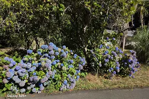 95048 Timber Park Ln, Coos Bay, OR 97420 - Photo 27