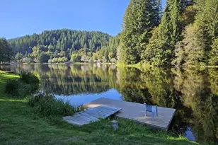 9864 Beach Dr, Birkenfeld, OR 97016 - Photo 25