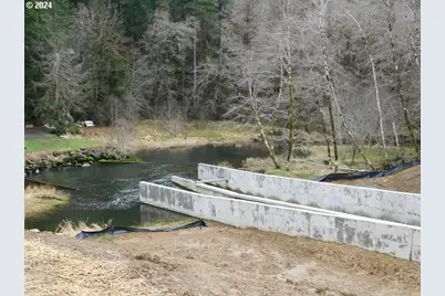 9864 Beach Dr, Birkenfeld, OR 97016 - Photo 31