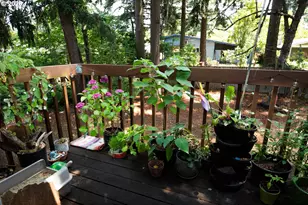 16837 SE Powell Blvd, Portland, OR 97236 - Photo 21