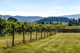 3066 Thomsen Rd, Hood River, OR 97031 - Photo 47