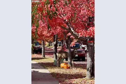 61142 Brookhollow Dr, Bend, OR 97702 - Photo 19