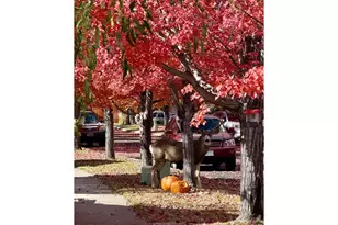 61142 Brookhollow Dr, Bend, OR 97702 - Photo 19