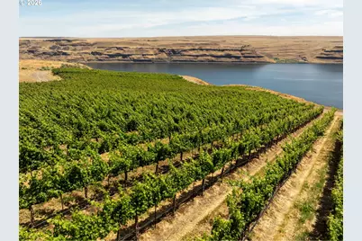 S Finley Rd, Kennewick, WA 99337 - Photo 5