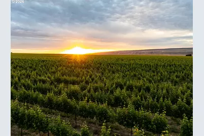 S Finley Rd, Kennewick, WA 99337 - Photo 9