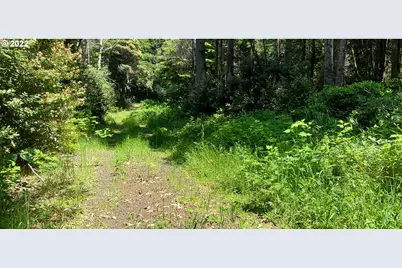 Miller Ln #1100, Gold Beach, OR 97444 - Photo 31