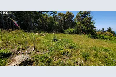 Miller Ln #1100, Gold Beach, OR 97444 - Photo 5