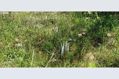 Miller Ln #1100, Gold Beach, OR 97444 - Photo 29