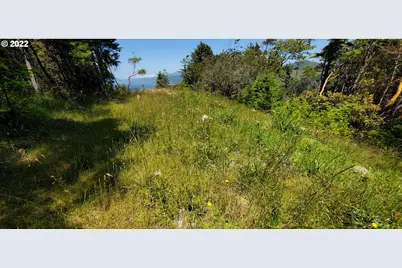 Miller Ln #1100, Gold Beach, OR 97444 - Photo 3