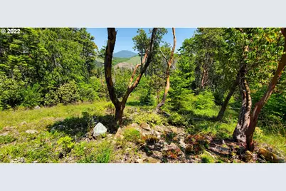 Miller Ln #1100, Gold Beach, OR 97444 - Photo 11