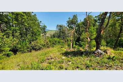 Miller Ln #1100, Gold Beach, OR 97444 - Photo 15