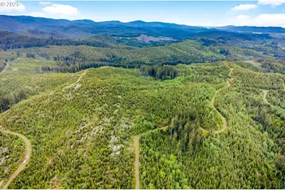 1 Parpala Rd, Naselle, WA 98638 - Photo 9