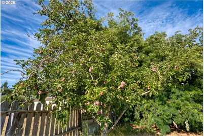 97907 Lively Ln, Brookings, OR 97415 - Photo 11