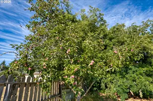 97907 Lively Ln, Brookings, OR 97415 - Photo 11