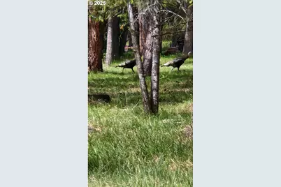 80984 Coyote Ln, Heppner, OR 97836 - Photo 29