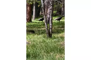 80984 Coyote Ln, Heppner, OR 97836 - Photo 29