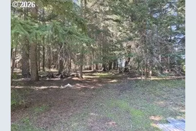 1251 Canyon Rd, Appleton, WA 98602 - Photo 1
