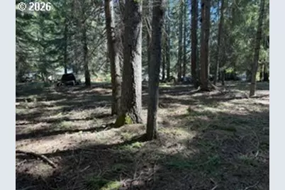 1251 Canyon Rd, Appleton, WA 98602 - Photo 3